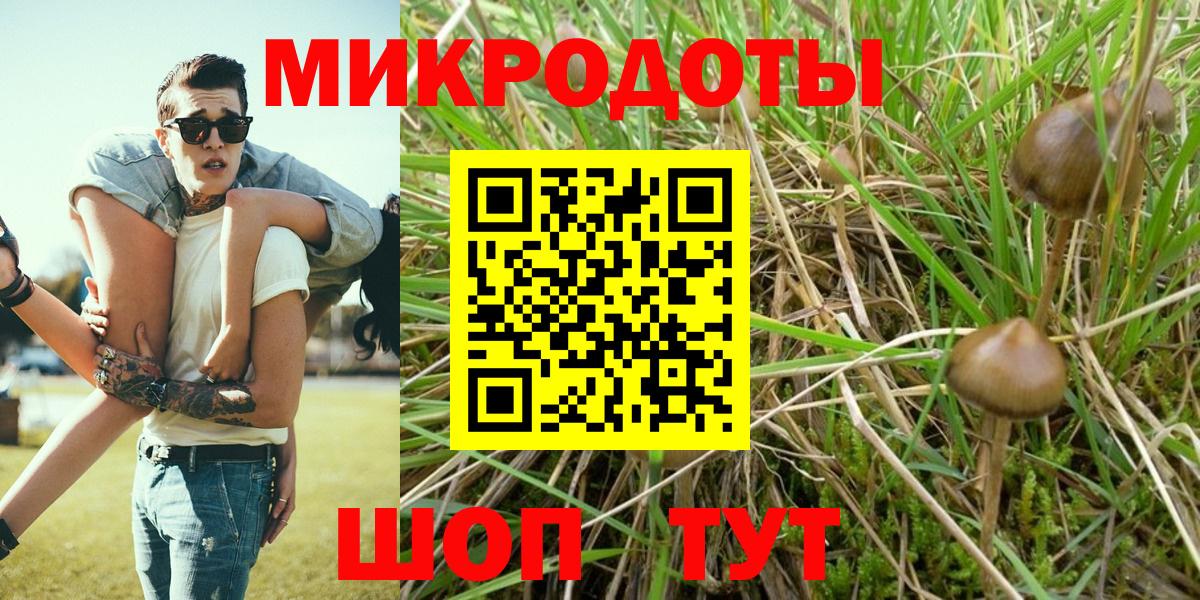 Шебекино  Псилоцибиновые грибы GOLDEN TEACHER  Вход с VPN 