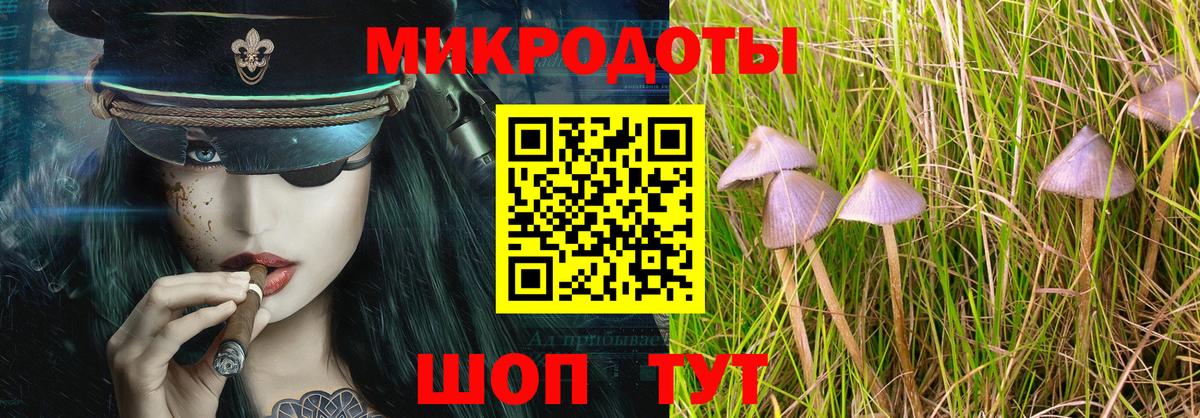 Галлюциногенные грибы MAGIC MUSHROOMS Шебекино