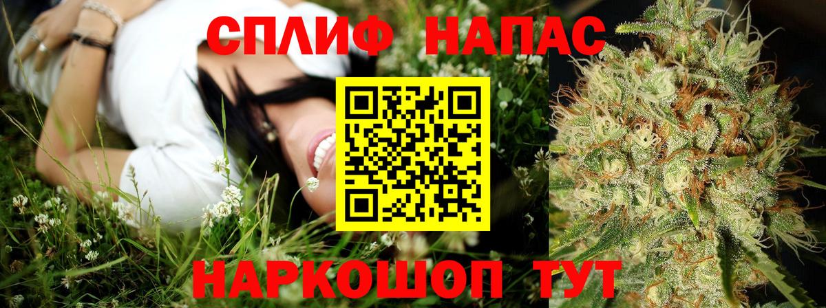 Бошки марихуана сатива Шебекино