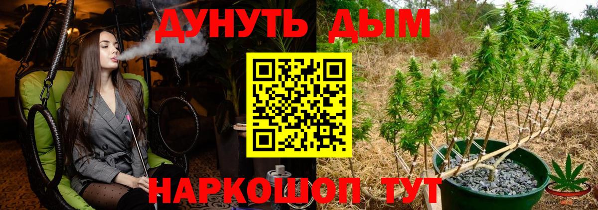 Канабис сатива  Бошки марихуана планчик  Вход с VPN  Бошки Шишки Ganja  Шебекино 